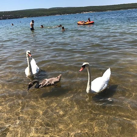 Apartment Vrulje Gornji Karin Dış mekan fotoğraf