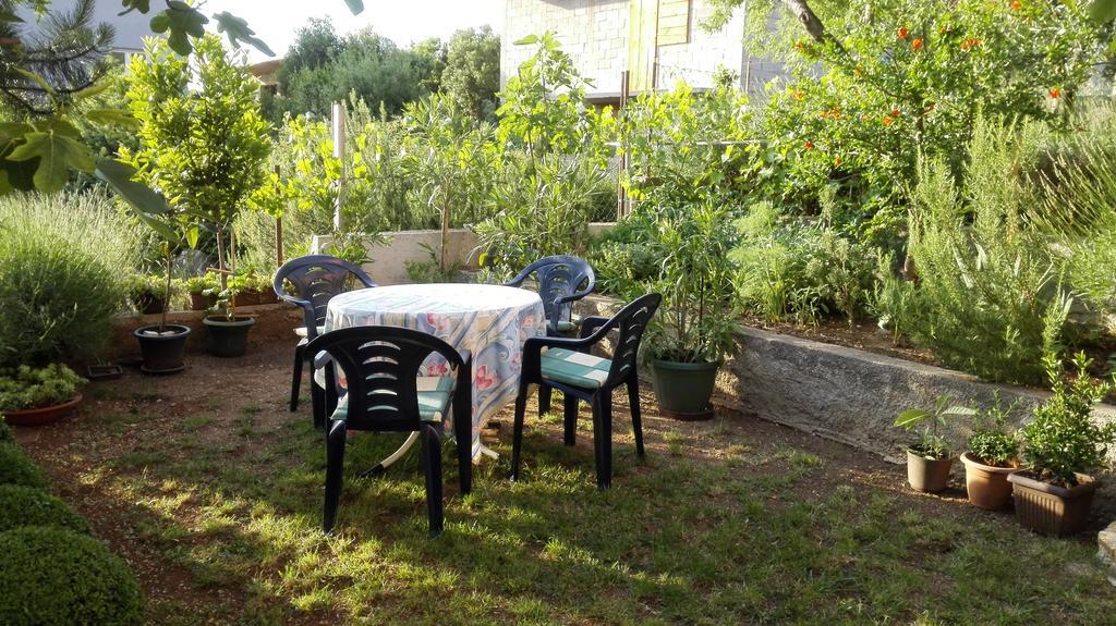Apartment Vrulje Gornji Karin Dış mekan fotoğraf